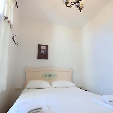 Kidalyo - Special Category *