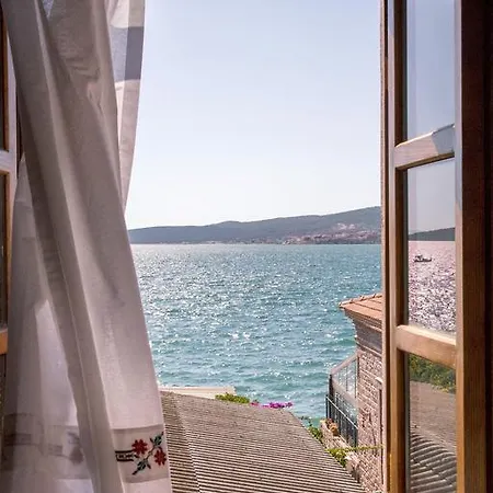 Kidalyo - Special Category *