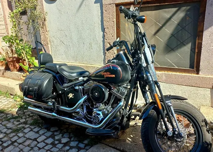 호텔 Kidalyo - Special Category