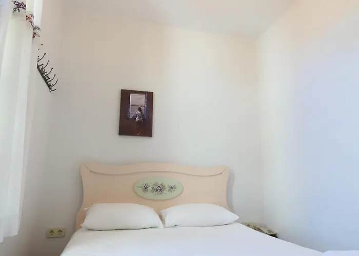 Kidalyo - Special Category *