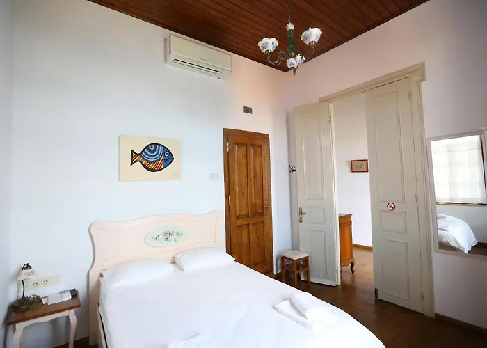 호텔 Kidalyo - Special Category