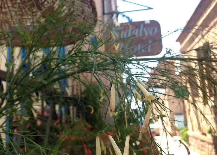 Kidalyo - Special Category