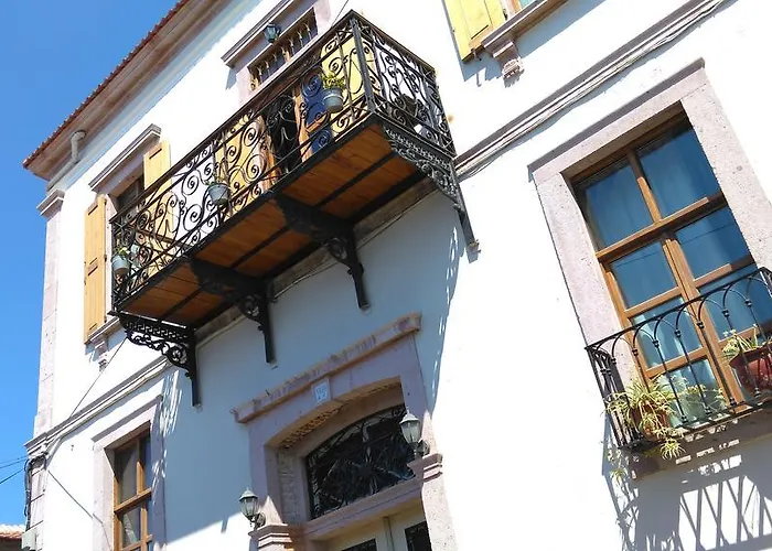 Kidalyo - Special Category Ayvalı