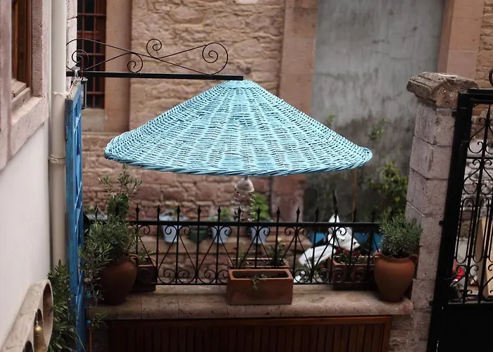 Kidalyo - Special Category Ayvalı