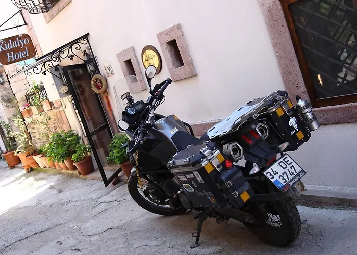 Kidalyo - Special Category Ayvalı