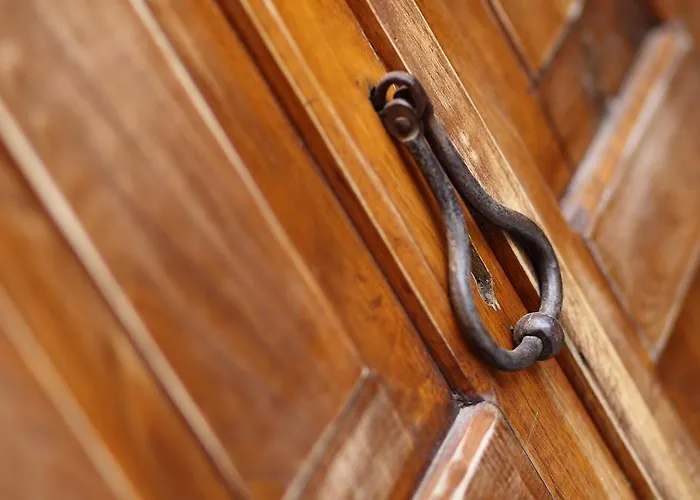 Kidalyo - Special Category * Ayvalı